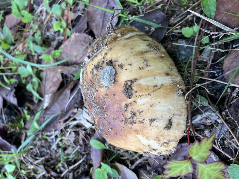 ？？