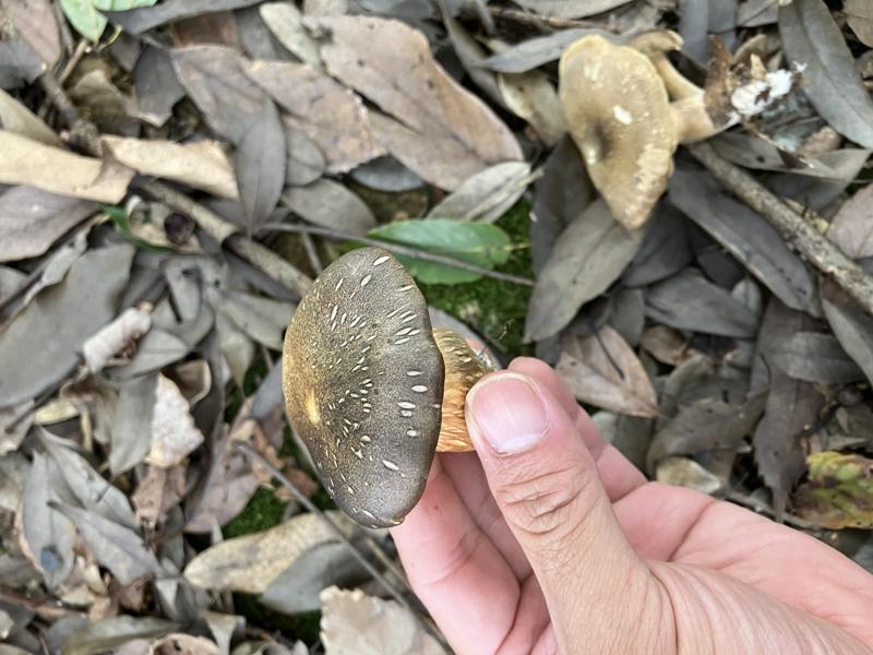 ？？